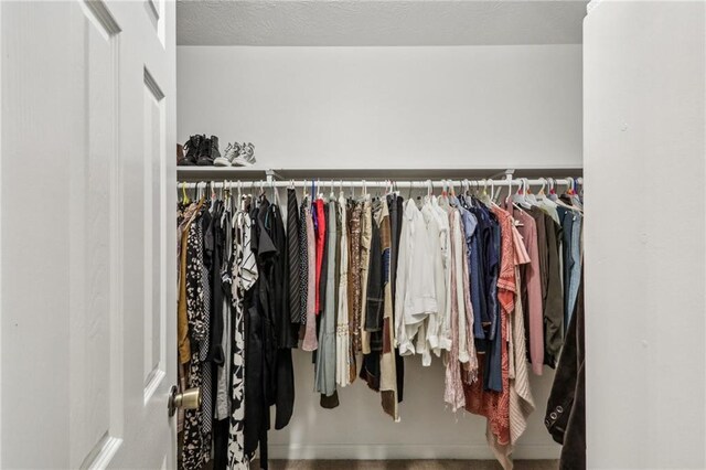 view of walk in closet