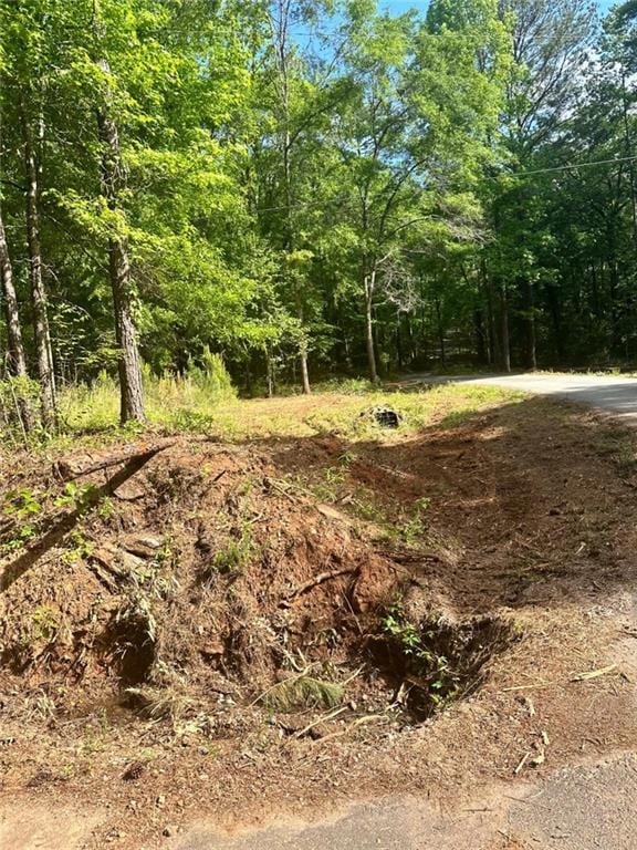 LOT17 Pickette Bridge Rd, Covington GA, 30016 land for sale