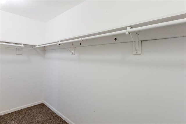 3225 Redona Dr, Atlanta, GA 30349 - spacious closet featuring carpet floors