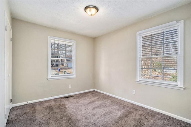 carpeted spare room featuring a textured ceiling and a wealth of natural light