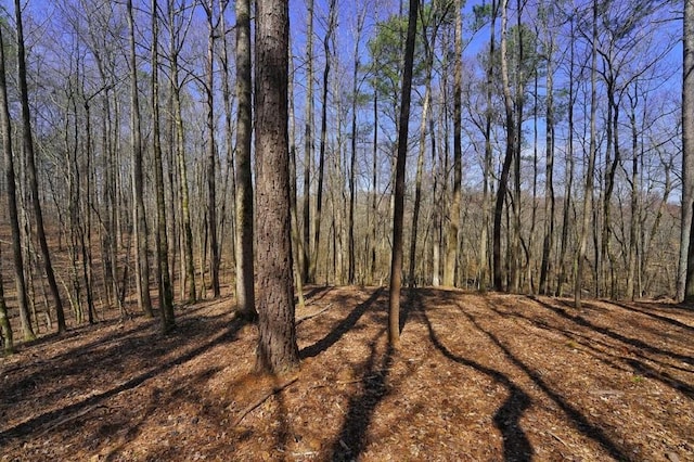 00 Lester Rd, Douglasville GA, 30134 land for sale