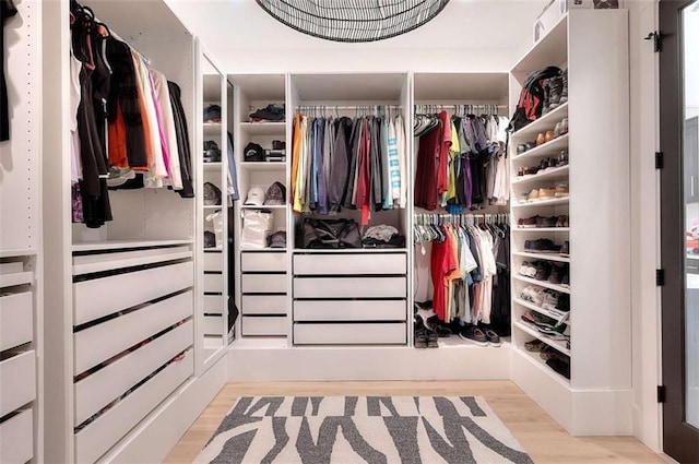 3960 Stock Rd, Monroe, GA 30656 - walk in closet with wood finished floors