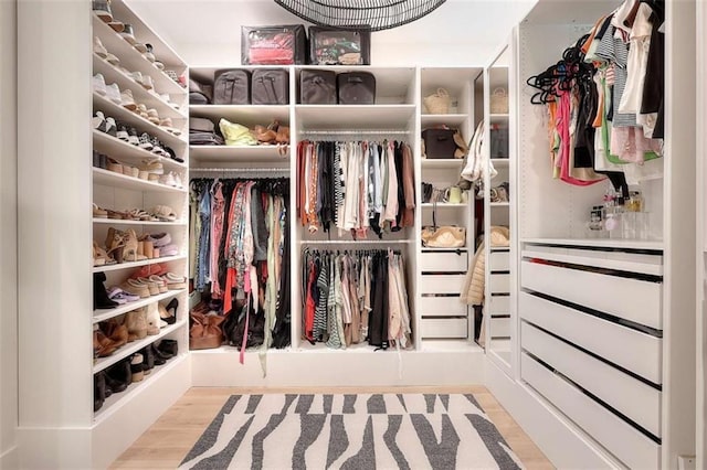 3960 Stock Rd, Monroe, GA 30656 - walk in closet with wood finished floors