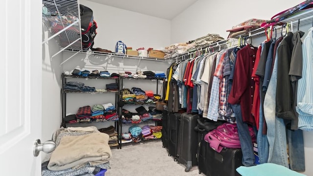 305 Knights Ct, Canton, GA 30115 - spacious closet featuring carpet floors