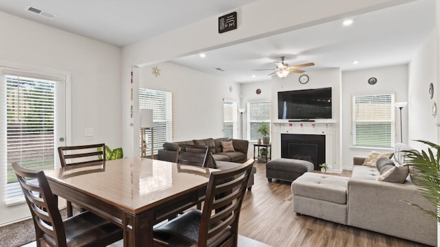 305 Knights Ct, Canton, GA 30115 - dining area with a wealth of natural light, visible vents, wood finished floors, and ceiling fan