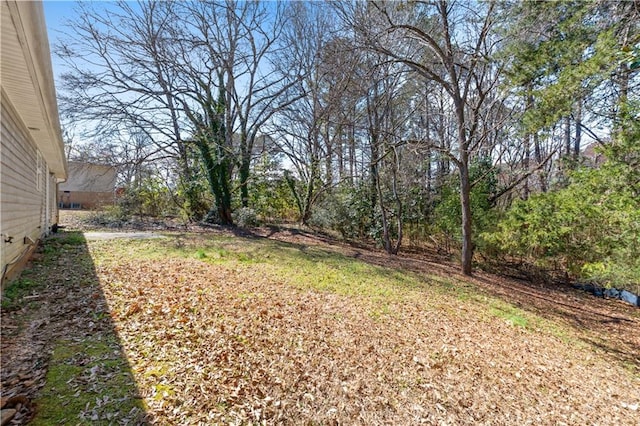 131 Tye St, Stockbridge, GA 30281 - view of yard