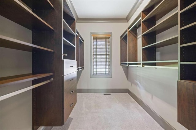 walk in closet with light carpet