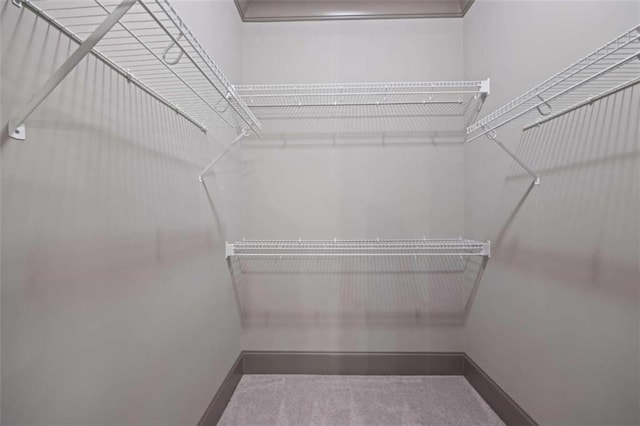 spacious closet with carpet flooring