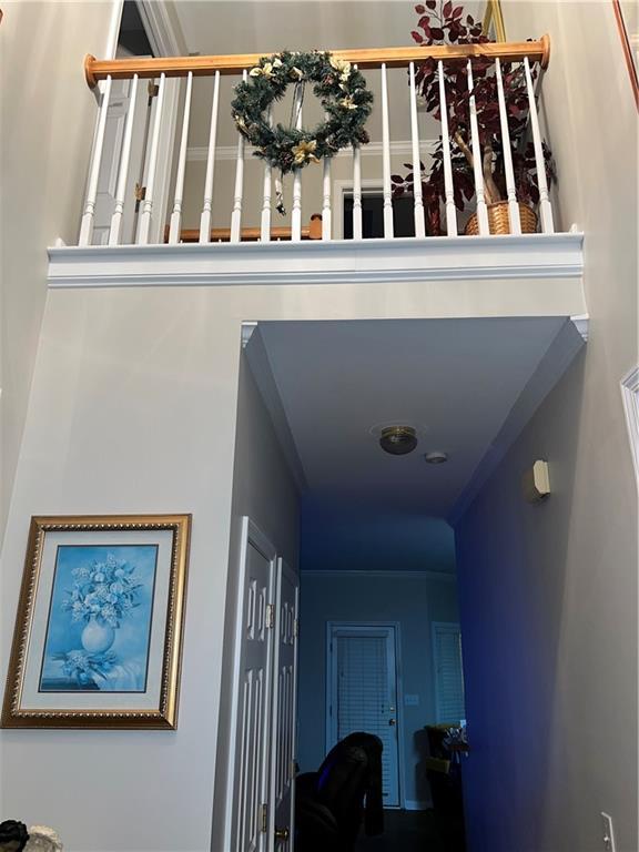 entrance foyer featuring hardwood / wood-style flooring