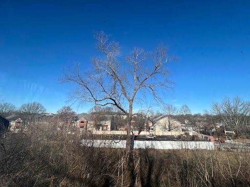 view of yard featuring a residential view