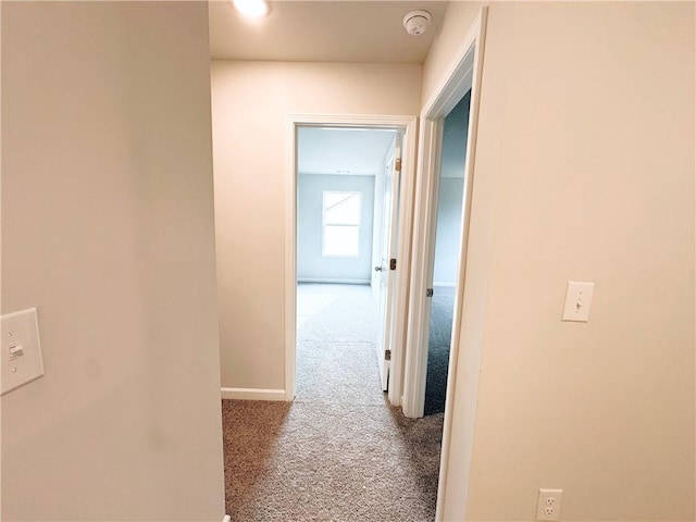 hall featuring baseboards and carpet flooring