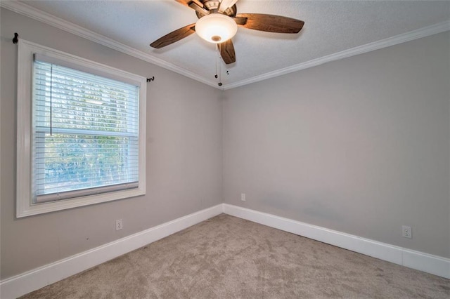 empty room featuring ceiling fan, ornamental molding, and carpet flooring