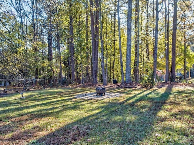 view of yard with an outdoor fire pit