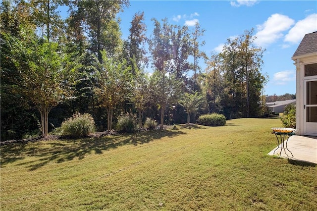 view of yard with a patio area