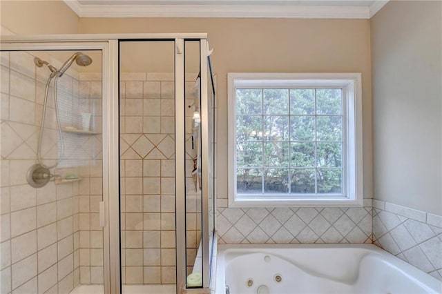 39 Legendary Dr, Hoschton, GA 30548 - bathroom with a shower stall, a jetted tub, and crown molding