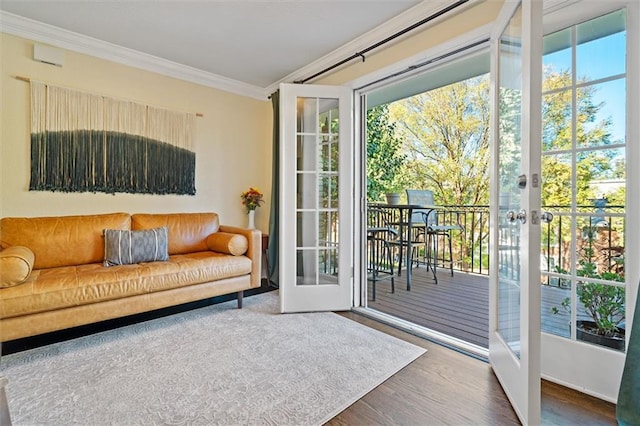 869 Briarcliff Rd NE Unit B20, Atlanta, GA 30306 - entryway featuring french doors, crown molding, wood finished floors, and plenty of natural light