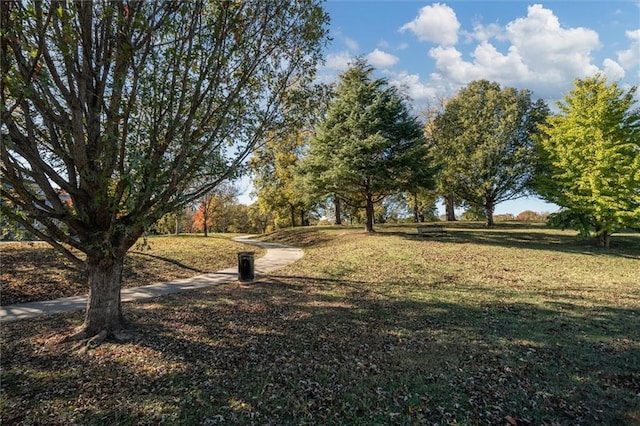 869 Briarcliff Rd NE Unit B20, Atlanta, GA 30306 - view of grassy yard