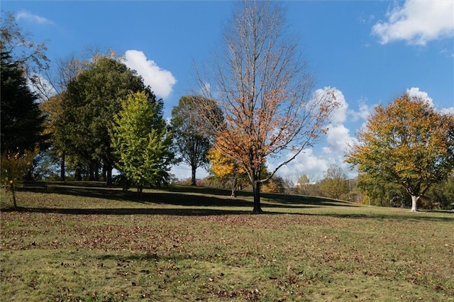 869 Briarcliff Rd NE Unit B20, Atlanta, GA 30306 - view of grassy yard
