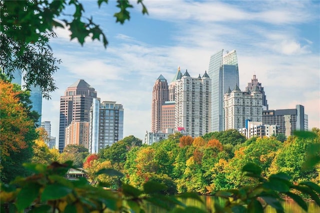 869 Briarcliff Rd NE Unit B20, Atlanta, GA 30306 - skyline view