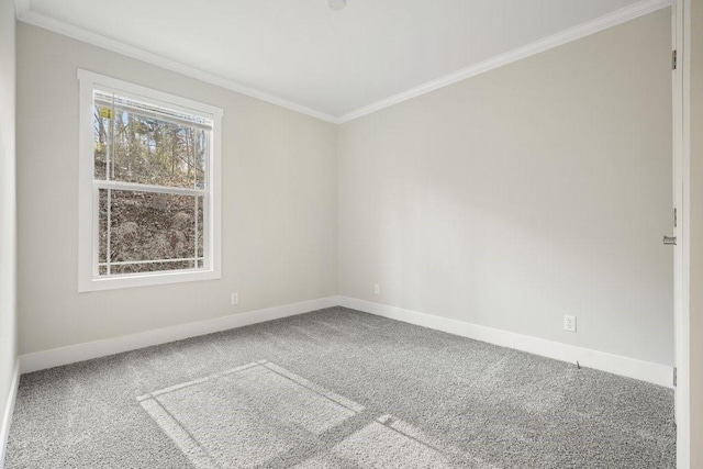 carpeted empty room with ornamental molding