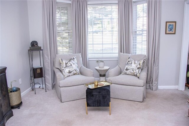 living area with light colored carpet