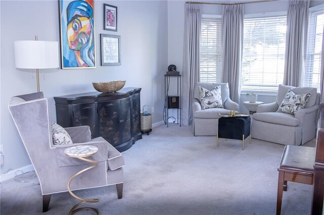 sitting room featuring carpet flooring