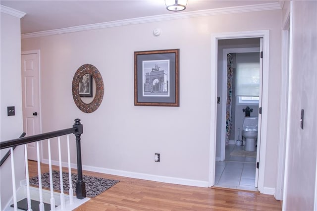 hallway featuring crown molding and hardwood / wood-style floors