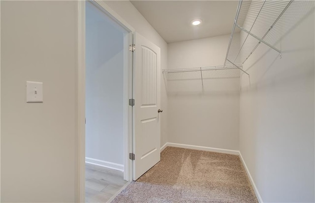 spacious closet featuring light colored carpet