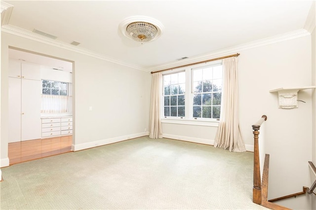 spare room with carpet flooring and crown molding