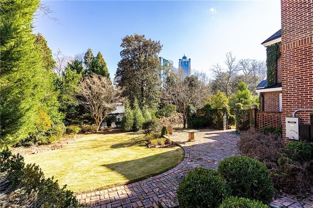 view of yard with a patio