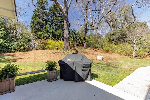 view of yard featuring a patio