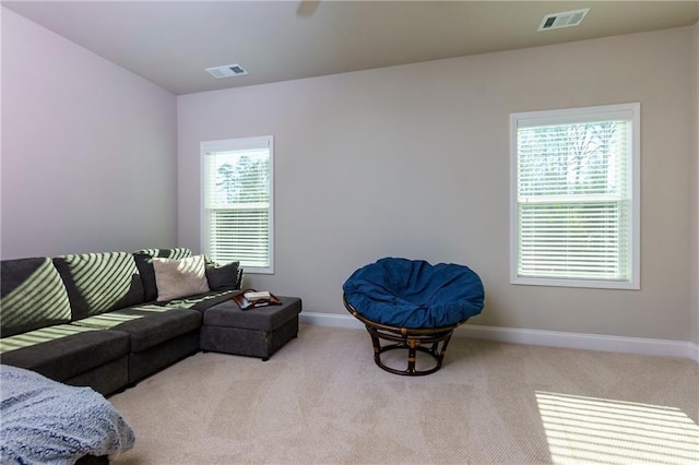 carpeted living room with a wealth of natural light