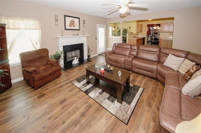1801 Deer Crossing Cir, Jonesboro, GA 30236 - living area with a ceiling fan, wood finished floors, baseboards, and a fireplace with raised hearth