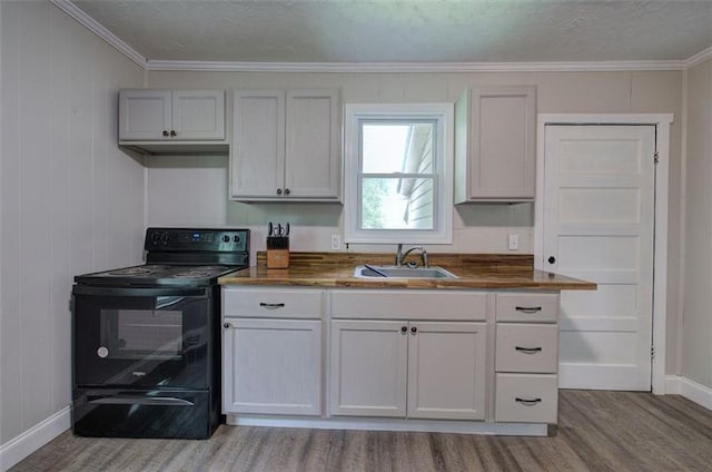 2014 Maple Ave SW, Rome, GA 30161 - kitchen featuring black range with electric stovetop, a sink, wood finished floors, baseboards, and ornamental molding