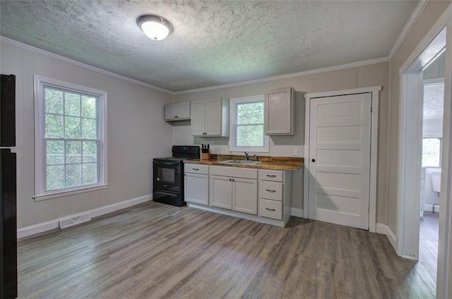 2014 Maple Ave SW, Rome, GA 30161 - kitchen featuring black range with electric stovetop, wood finished floors, a sink, crown molding, and baseboards