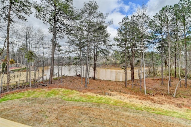 view of yard featuring a water view