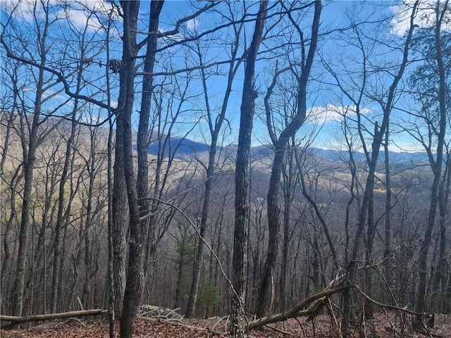 Listing photo 2 for 000 Trackrock Gap Rd, Blairsville GA 30514