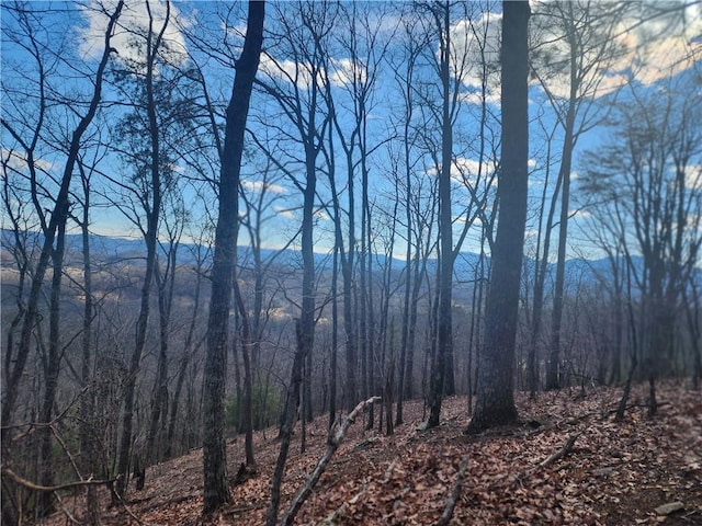 Listing photo 3 for 000 Trackrock Gap Rd, Blairsville GA 30514