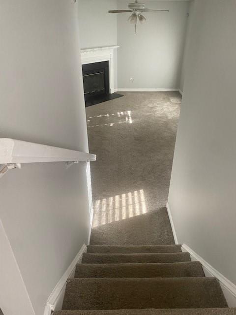 stairs with carpet flooring, a fireplace with flush hearth, baseboards, and ceiling fan