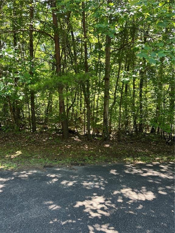 0 Oakland Ct, Talking Rock, GA 30175