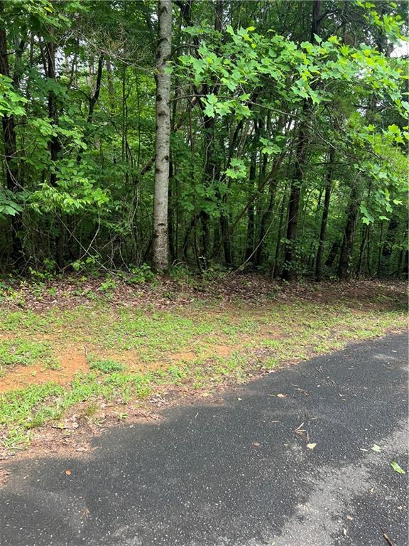 0 Oakland Ct, Talking Rock, GA 30175
