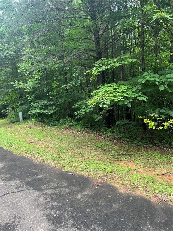 0 Oakland Ct, Talking Rock, GA 30175