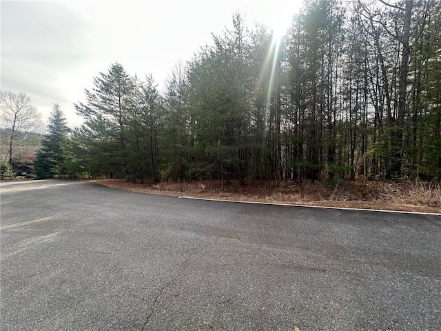 212 Wild Pansy Way, Jasper, GA 30143