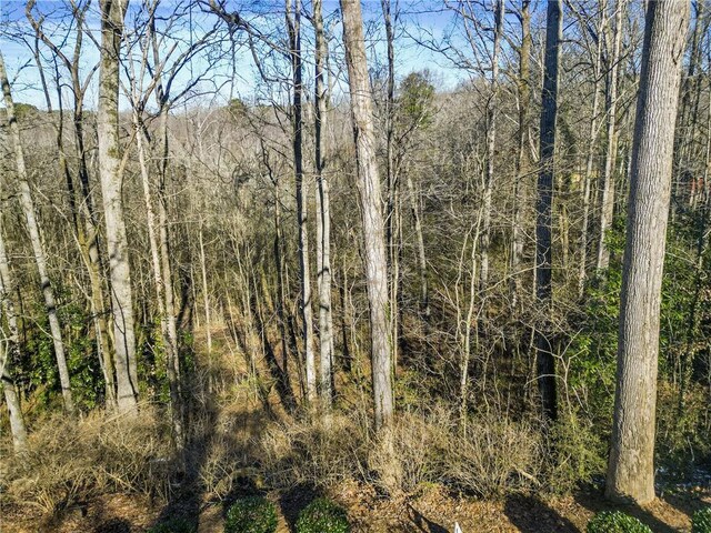 14 Geraldine Dr SE, Smyrna, GA 30082