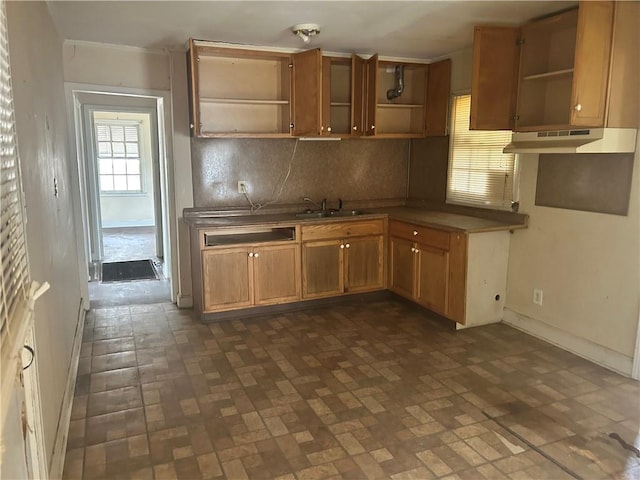 kitchen featuring a sink, under cabinet range hood, decorative backsplash, and open shelves