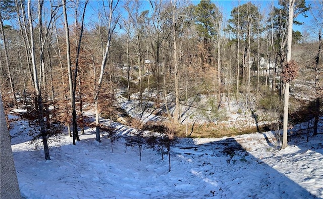 view of snowy landscape