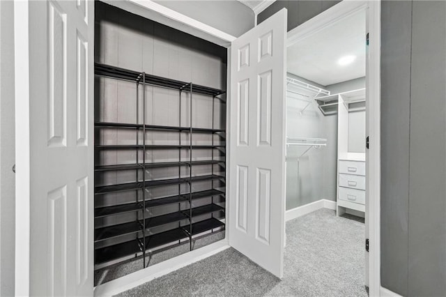 spacious closet featuring carpet flooring