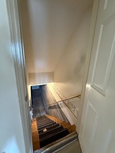 stairway featuring carpet flooring