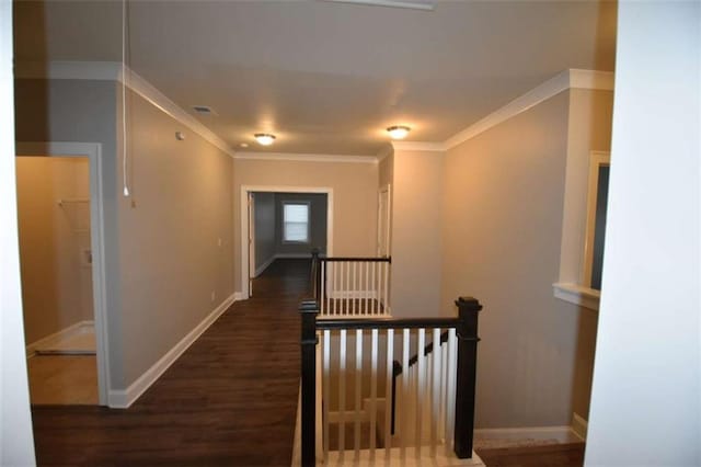 hallway with dark hardwood / wood-style flooring and crown molding