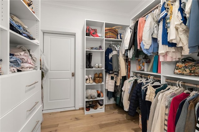 spacious closet featuring light wood-style floors